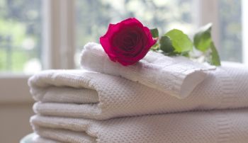 Bestes Waschmittel 2020: Test, Vergleich & alle Infos